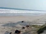 thumbnail-tanah-pinggir-pantai-mandiri-pesisir-barat-0