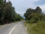 thumbnail-tanah-pantai-di-mandiri-krui-pesisir-barat-1