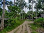 thumbnail-tanah-kebun-kelapa-di-sidomulyo-0