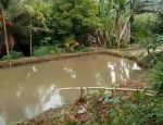 thumbnail-rumah-plus-kolam-ikan-di-wiyono-gedong-tataan-1