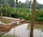 thumbnail-rumah-plus-kolam-ikan-di-wiyono-gedong-tataan-2