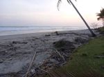 thumbnail-tanah-pantai-1-hektar-di-mandiri-krui-pesisir-barat-2