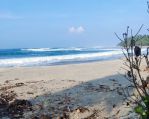 thumbnail-tanah-pinggir-pantai-krui-pesisir-barat-lampung-0