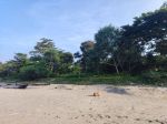 thumbnail-tanah-pinggir-pantai-krui-pesisir-barat-lampung-2