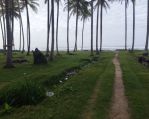 thumbnail-tanah-pinggir-pantai-12000-meter-di-krui-pesisir-barst-1